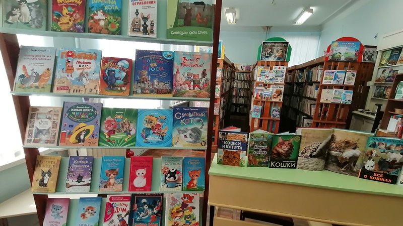 Новочеркасцев приглашают на книжную выставку посвященную Всемирному дню кошек