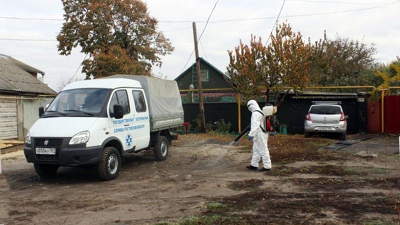 В Новочеркасске 2 января снимут карантин по бешенству