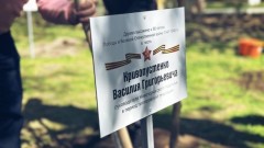 В Новочеркасске высадили аллею в честь жителей города – героев Великой Отечественной войны