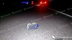 На трассе Новочеркасск – Донской погиб пешеход