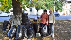 Жители Новочеркасска вышли на областной субботник