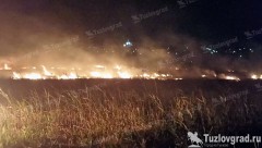 На окраине Новочеркасска горит пойма реки Тузлов