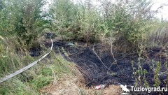 В Ростовской области в связи с сильной жарой установлен высший уровень пожароопасности