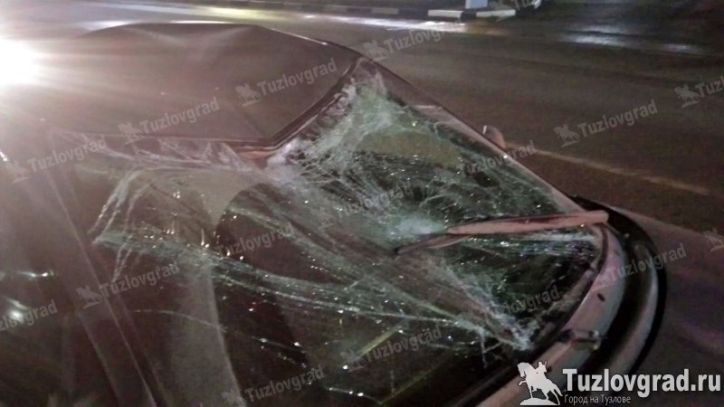 На выезде из Новочеркасска машина сбила пьяного пешехода