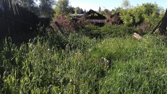 С 1 марта в Ростовской области начнут изымать бесхозные земельные участки