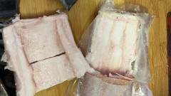 В СИЗО Новочеркасска пытались передать фаршированное запрещенными предметами сало