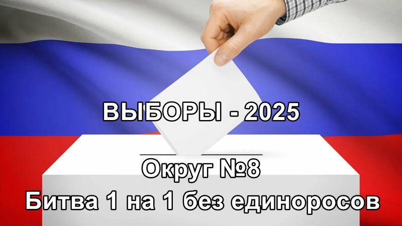 Выборы в новочеркасскую городскую Думу, округ 8