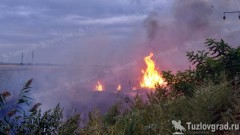 В Ростовской области с 29 апреля вводят особый противопожарный режим