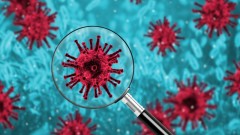 У двух жителей Ростовской области подозревают британский штамм коронавируса