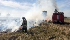В Новочеркасске до конца первой недели сентября сохранится высший уровень пожароопасности