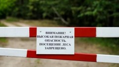 В Ростовской области продлили режим ограничения пребывания в лесах до 21 июля