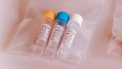В Новочеркасске за прошедшие сутки 3 человека заразились коронавирусом