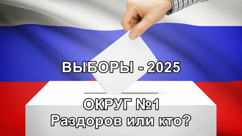 Выборы в новочеркасскую городскую Думу, округ 1