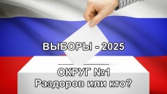 Выборы в новочеркасскую городскую Думу, округ 1