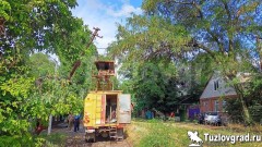 В Новочеркасске упавшая на провода ветка прервала движение трамваев