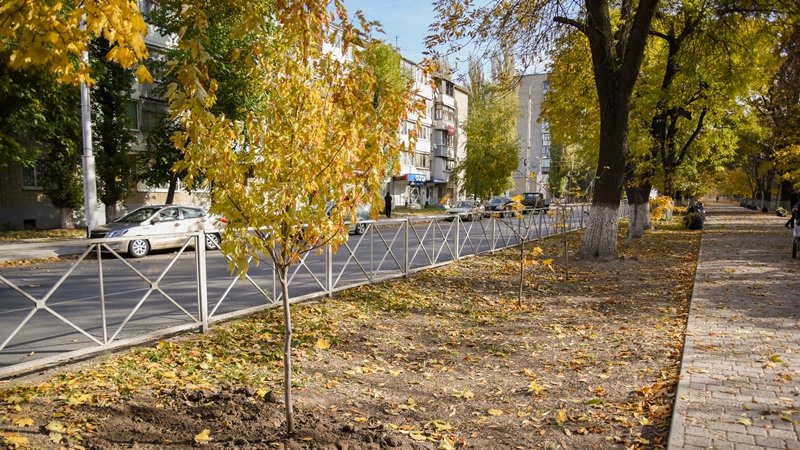 Жителей Новочеркасска в ближайшую неделю ждут температурные «качели»