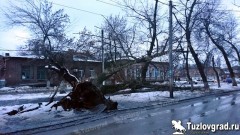 В центре Новочеркасска упало огромное дерево, перекрыло дорогу, тротуар, оборвало провода