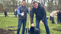 В День древонасаждения в Новочеркасске высадили более 250 новых деревьев