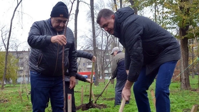 В парке микрорайона Соцгород в Новочеркасске появилась липовая аллея