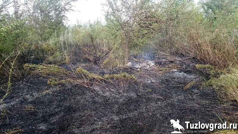 В Ростовской области в связи с сильной жарой продлен высокий уровень пожароопасности