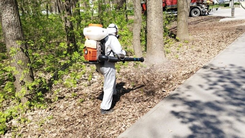 В Новочеркасске в роще «Красная весна» произведена обработка от клещей