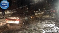 В Новочеркасске опиловщики уронили дерево на проезжавшую мимо машину, видео