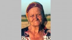 В Ростовской области нашли живой пропавшую из станицы Багаевской пенсионерку