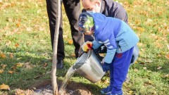 В День древонасаждения жителей Новочеркасска ждет праздничная программа