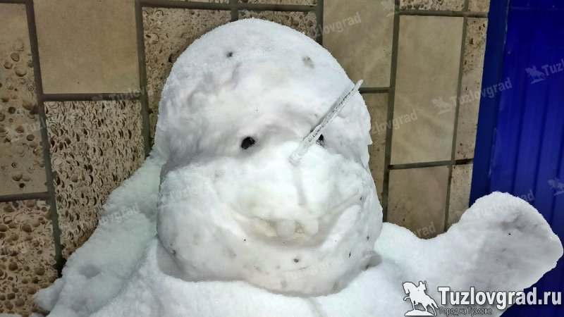 В Новочеркасске появились два новых снеговика от Сергея Шельпова