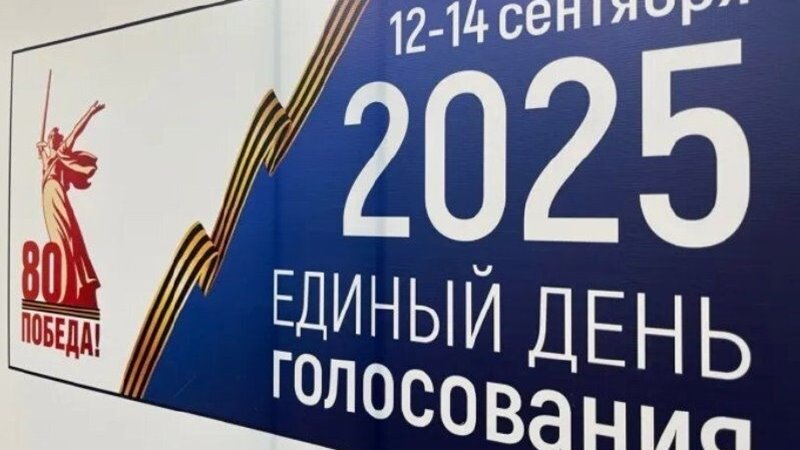 В Новочеркасске явка избирателей достигла 30%
