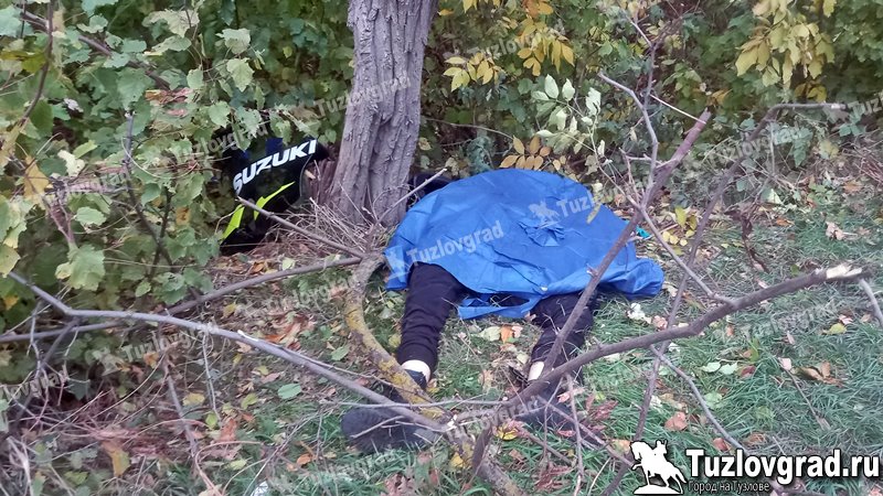 В Новочеркасске мотоциклист врезался в дерево и погиб
