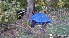 В Новочеркасске мотоциклист врезался в дерево и погиб
