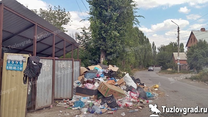 Несанкционированные свалки в Новочеркасске будет убирать предприниматель из Ростова