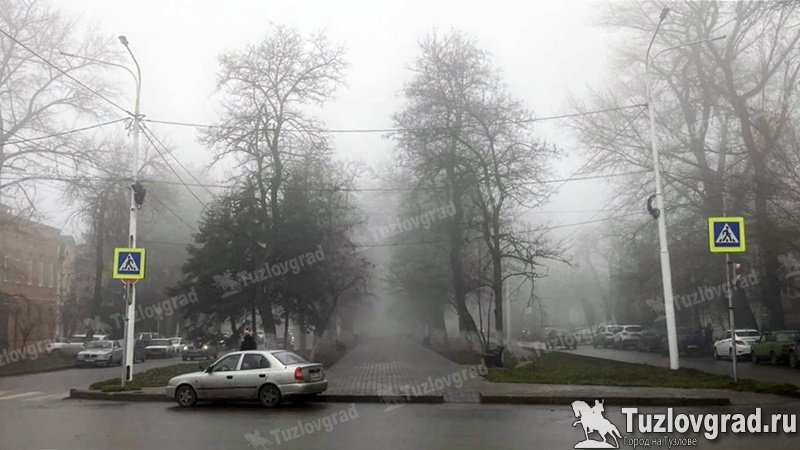 В первые зимние выходные в Новочеркасске потеплеет до +18 °С