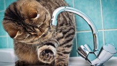 В Новочеркасске жители четырех улиц останутся без воды на весь день 7 сентября