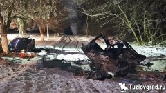 На трассе под Новочеркасском военнослужащий погиб, врезавшись в дерево