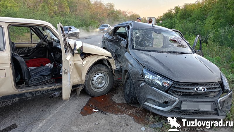 В ДТП на трассе Каменоломни – Новочеркасск пострадали 5 человек, один погиб