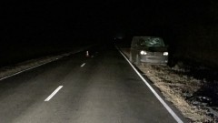 Водитель из Новочеркасска сбил велосипедиста на дороге «Сальск — Яшалта»