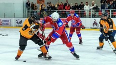 Новочеркасские хоккейные клубы стартовали в Ночной хоккейной лиге