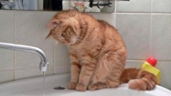 Отключение воды в Первомайском районе Новочеркасска снова перенесли