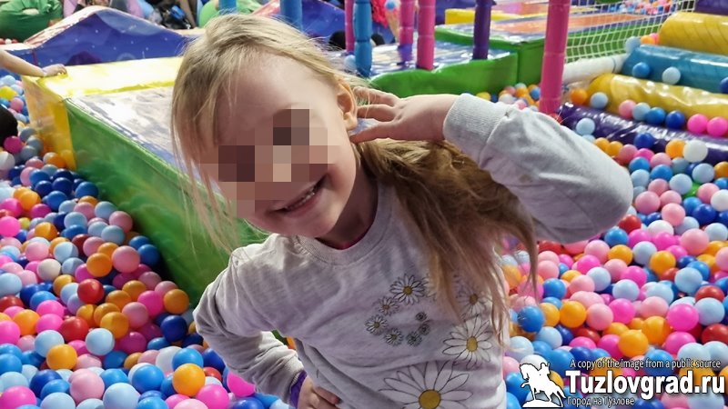 В Новочеркасске СК возбудил уголовное дело по факту нападения дворовой собаки на 4-летнюю девочку