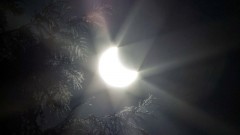 Жители Новочеркасска 10 июня смогут увидеть частичное солнечное затмение