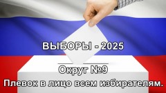 Выборы в новочеркасскую городскую Думу, округ 9
