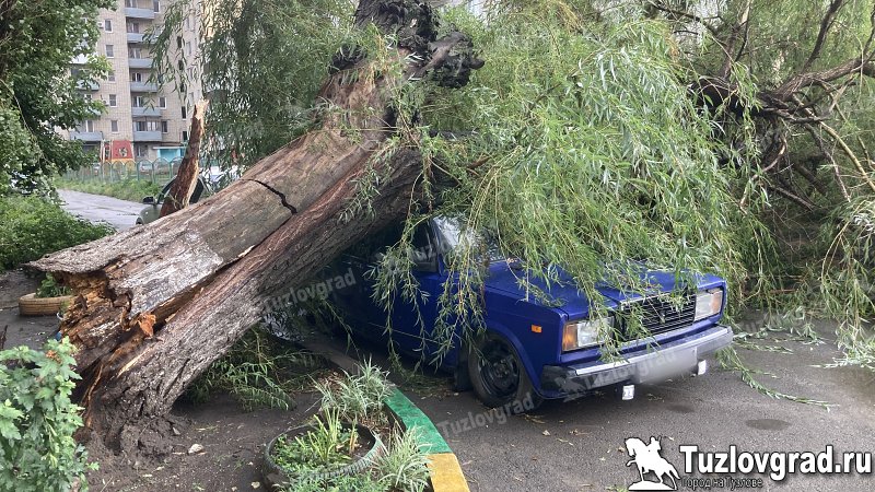 В Новочеркасске во время ливня огромное дерево упало на припаркованную под ним машину