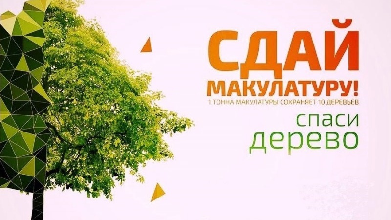 Жителей Новочеркасска приглашают участвовать в соцсоревновании – сдавать макулатуру