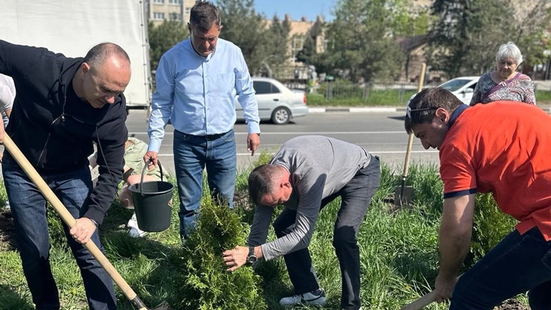 В Новочеркасске продолжается высадка деревьев и кустарников