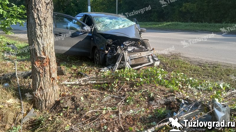 В Новочеркасске пьяный водитель врезался в дерево