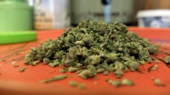 Житель Новочеркасска получил условный срок за организацию наркопритона