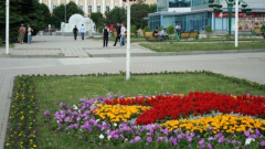 Администрация Новочеркасска выделила 6,6 миллионов рублей на посадку цветов и уход за ними