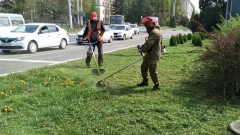 В Новочеркасске покосили траву на площади более 170 гектаров